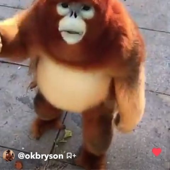 Meet your Posher, Zachary - Picture 1 of 1